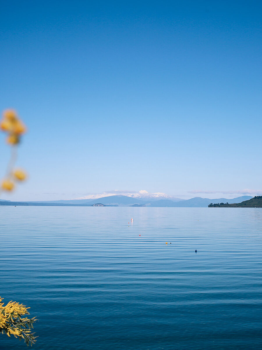 Taupo Holiday Homes