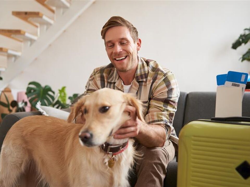 Changes to Pet Management in Rental Properties